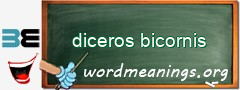 WordMeaning blackboard for diceros bicornis